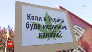 Чи зможуть в Україні вирощувати медичний канабіс: Ляшко пояснив важливі деталі