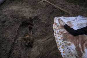 Росіяни скинули вибухівку на село в Сумській області: загинув чоловік