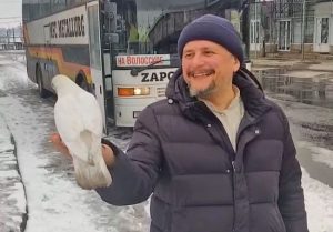 Падіння хреста, розірвані прапори та грім на Різдво: що віщували таємничі знаки Україні