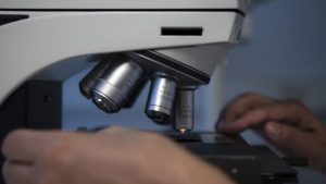 Зомбі-віруси з Сибіру можуть знищити людство: вчені б’ють на сполох