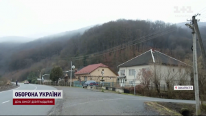 На Закарпатті вовки тероризують кілька сіл: чому так сталось і що кажуть місцеві (фото, відео)