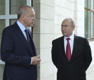 Поїздка Путіна в Туреччину: стала відомою тема переговорів