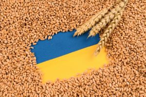 Польські протестувальники розсипали зерно із українських фур: чи затримали винуватців