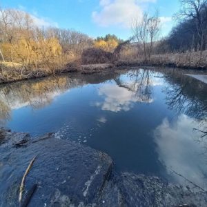 У Києві зафіксовано значне забруднення низки ставків: подробиці, фото