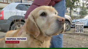 Неймовірна історія: собаку-поводирку, яка зникла у перший день великої війни, знайшли через 2 роки