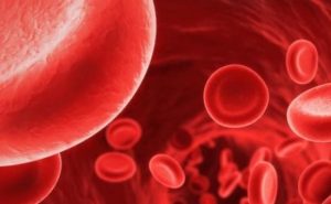 Які продукти підвищують рівень гемоглобіну