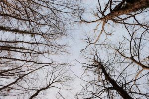 Місцями дощ, а подекуди до +16: погода на вихідні, 2-3 березня