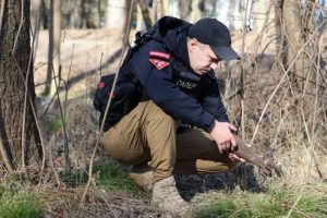 З настанням весни на Київщині з-під землі полізли снаряди та міни: що треба знати (фото)