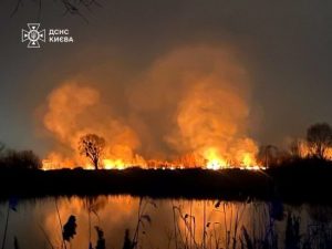 Пожежа в “Екопарку Осокорки”: влада Києва вже розслідує, хто і чому спалив 3 гектари заказника