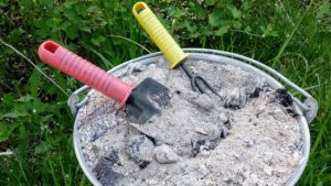 Які рослини не можна підживлювати попелом: вони просто загинуть