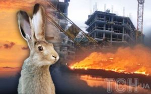 Знищення “Екопарку Осокорки” у Києві: хто міг підпалити тварин і що каже забудовник