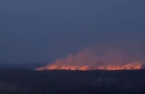 Масштабні пожежі оточили Київ: стіну з вогню видно з балконів (відео)