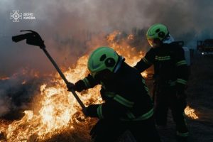 Як рятувальники у Києві ліквідовували масштабну пожежу в екосистемах: з’явилися фото та відео
