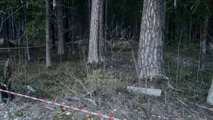 Під Москвою невідомий розстріляв двох поліцейських: що сталося