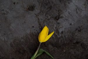 Прогноз погоди на 14 квітня: де в Україні будуть дощі та сильний вітер