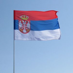 На кордоні Сербії затримали українця з великою сумою грошей – подробиці