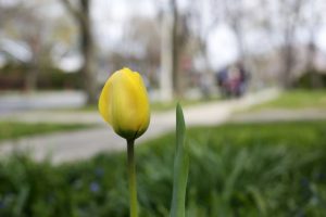 До України прийшло похолодання: прогноз погоди на 4 квітня