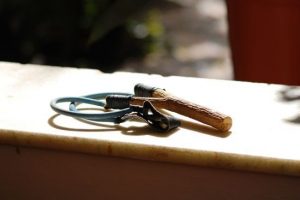Озброївся рогаткою: монах напився, роздягнувся і намагався увірватися до черниць (відео)