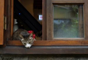 В Україні стане трохи прохолодніше: прогноз погоди на 3 травня