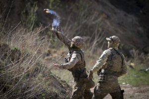 Потенційне створення ПВК в Україні: нардеп пояснив важливий нюанс