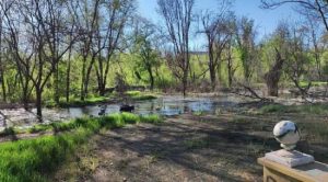 Окупанти перетворюють Маріуполь на суцільне сміттєзвалище: з’явилися фото