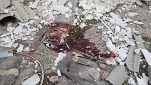 Росіяни обстріляли Комишани на Херсонщині: є загиблі