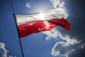 В Польщі через кілька хвилин після злету впав літак: що про це відомо