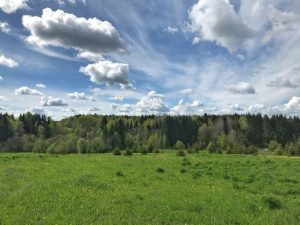 Якою буде погода в Україні вихідними: прогноз синоптикині