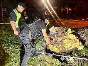 Внаслідок падіння дерева у парку Шевченка загинула жінка – поліція Києва