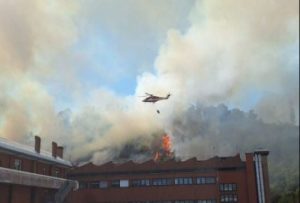 Страшна лісова пожежа в Римі: вогонь мало не дістався собору Святого Петра (відео)