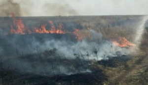 У Києві спалахнула пожежа поруч з лінією метро: що сталося