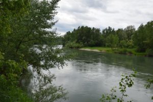 “Річка смерті” забрала 41-ше життя: у Тисі виявили тіло чоловіка
