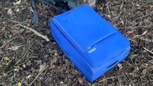 В Тернополі чоловік тіло померлої матері заховав у валізу та викинув в парку: деталі (фото)
