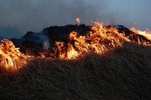 На Буковині під час спалювання сухої трави задихнувся і помер чоловік