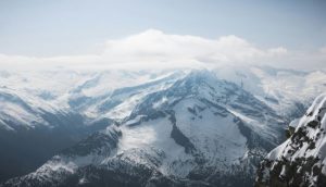 В Австралії жінка 6 днів блукала у горах після укусу отруйної змії