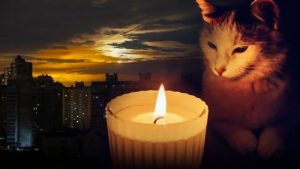 Чому графіки відключень світла постійно змінюються: в YASNO пояснили