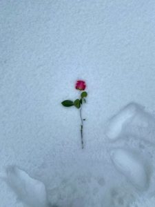 День ангела 11 грудня: кого та як вітати з іменинами