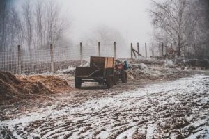 Чи треба взимку підживлювати ґрунт: неочікувана відповідь експертів