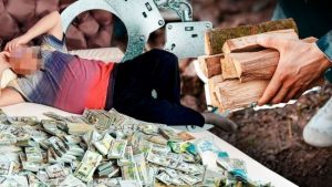 Новини, які розірвали Мережу: лікарі в “зелені”, рейди ТЦК і “закон про 3 гілляки”