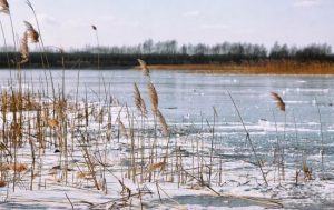 Ще одна жертва тонкої криги: рибалка провалився під лід на Київщині
