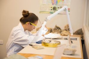 У надрах Землі виявили величезну колонію живих організмів