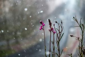 День ангела 26 лютого: кого та як вітати з іменинами