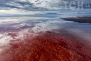 Найсмертоносніше озеро у світі має таємничий секрет, який перетворює тварин на “камінь” – фото