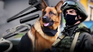 Які зміни можуть внести до закону про Нацгвардію: в МВС дали чітке роз’яснення