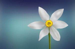 День ангела 9 березня: кого та як вітати з іменинами