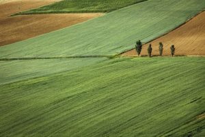 Які податки потрібно сплатити під час продажу землі в Україні
