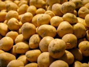 Сусіди неодмінно позаздрять ранньому урожаю картоплі: вкрийте грядки цим матеріалом