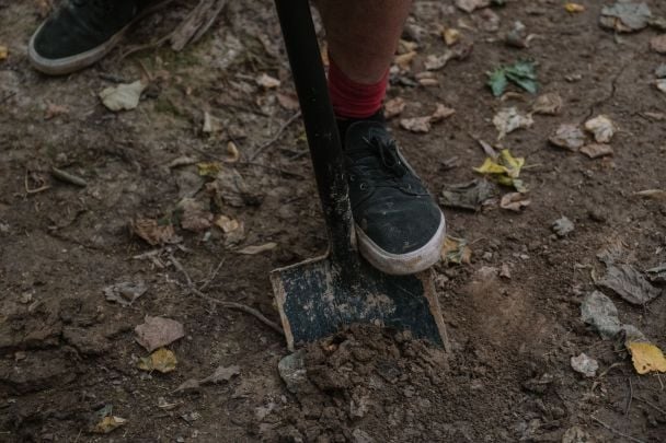 Дві таблетки на відро води — чудодійний розчин від всіх хвороб та шкідників городу