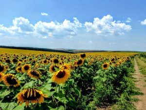 День ангела 30 червня: кого та як вітати з іменинами