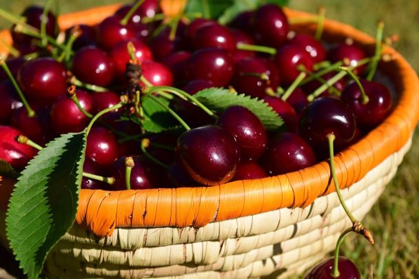 В Україні продовжує знижуватися ціна на популярну сезонну ягоду